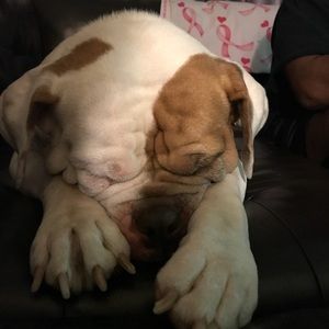 Meet your Posher, Angela